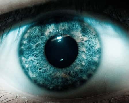 Img - Curiosidades sobre o olho humano