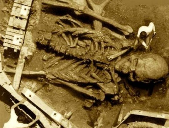 Homem escavando ao lado do esqueleto