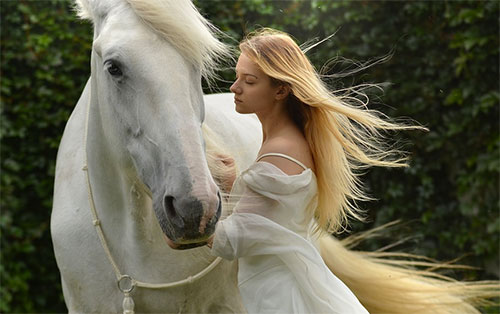 Cavalo e mulher