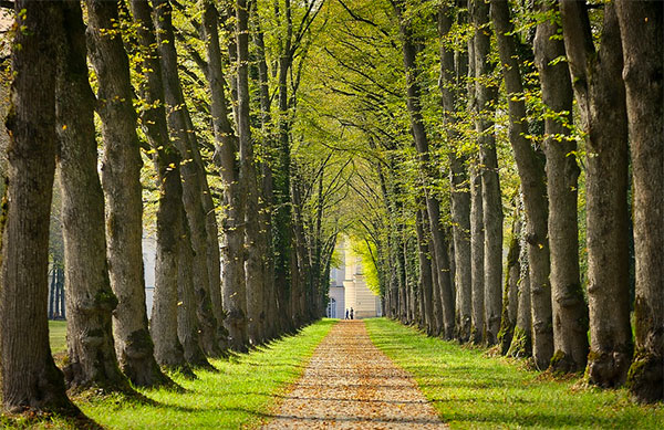 Caminhar na natureza