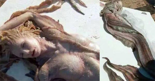 Sereia achada em praia