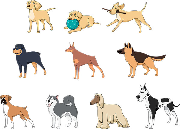 Ilustração, cães de vários portes e tamanhos
