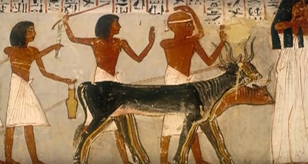 Arte Egípcia 2