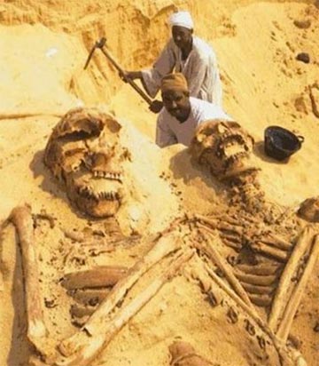 Escavação e dois esqueletos gigantes