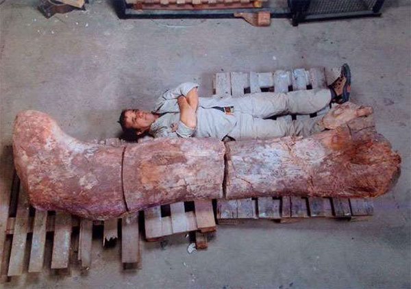 Homem deitado ao lado do osso de dinossauro
