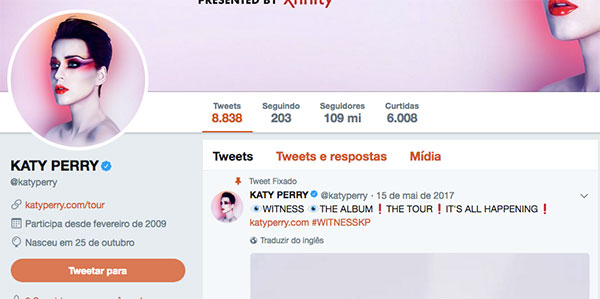Perfil Katy Perry
