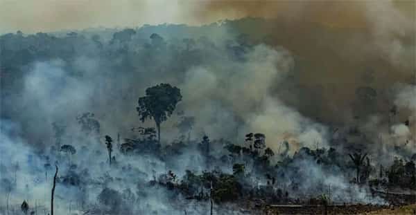 Amazônia, queimadas
