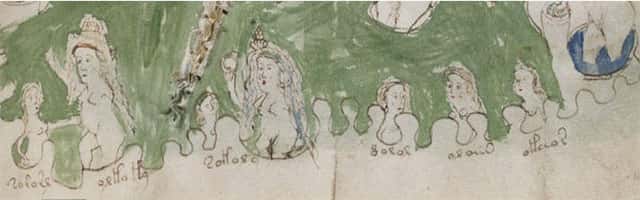 ilustracao mulheres Manuscrito Voynich