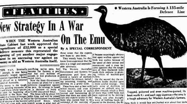 Jornal da época, guerra às Emus