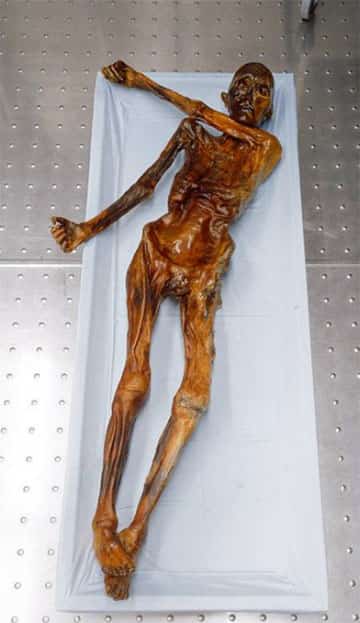 Mumia do Similaun