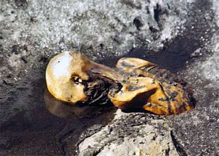 Mumia do Similaun ainda na geleira