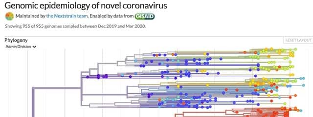 Nextstrain - Genomic epidemiology of novel coronavirus