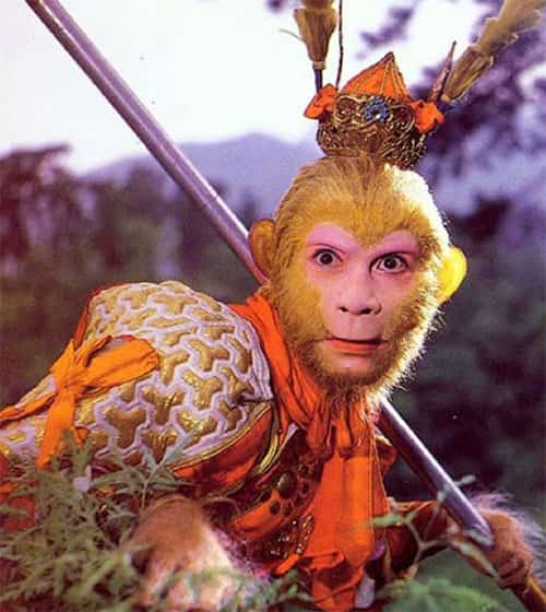 O Rei Macaco