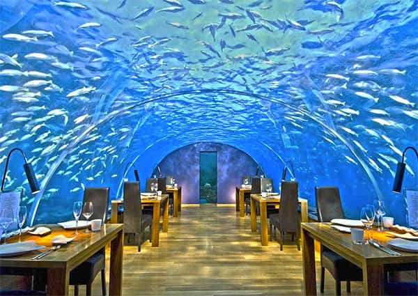 Restaurante Ithaa Undersea