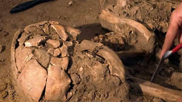Restos mortais de um ser humano de mil anos