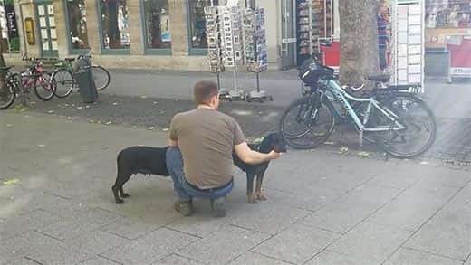 Um cachorro longo