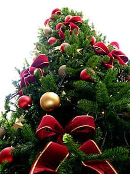 Os enfeites da árvore de Natal - Site de Curiosidades