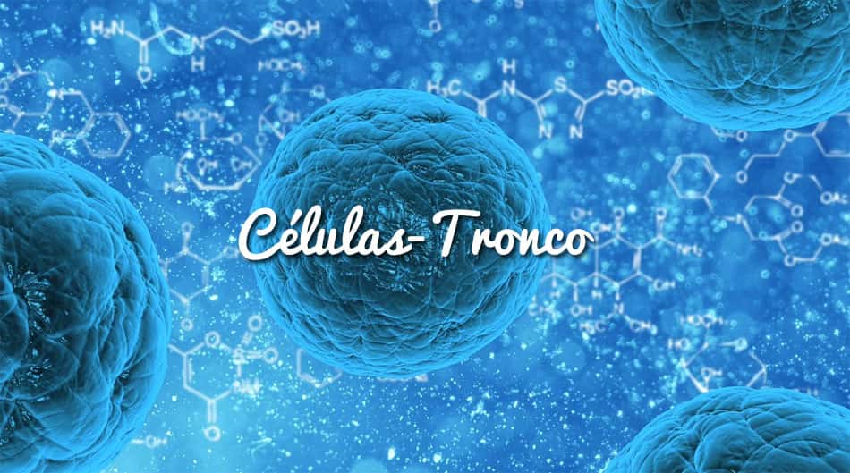 As Celulas Tronco Sao Celulas Capazes De Autorrenovacao