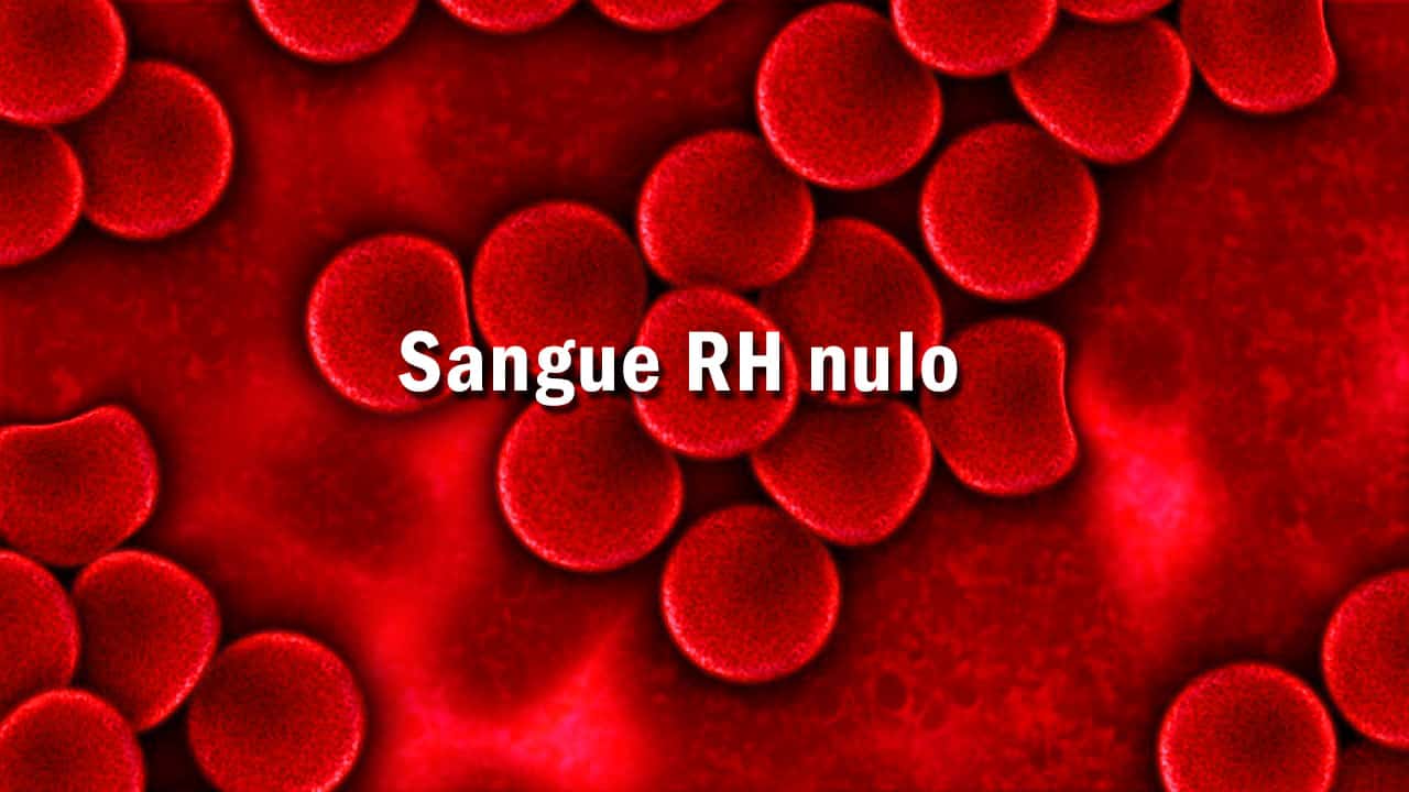 Conheça o RH nulo, tipo sanguíneo mais raro do mundo